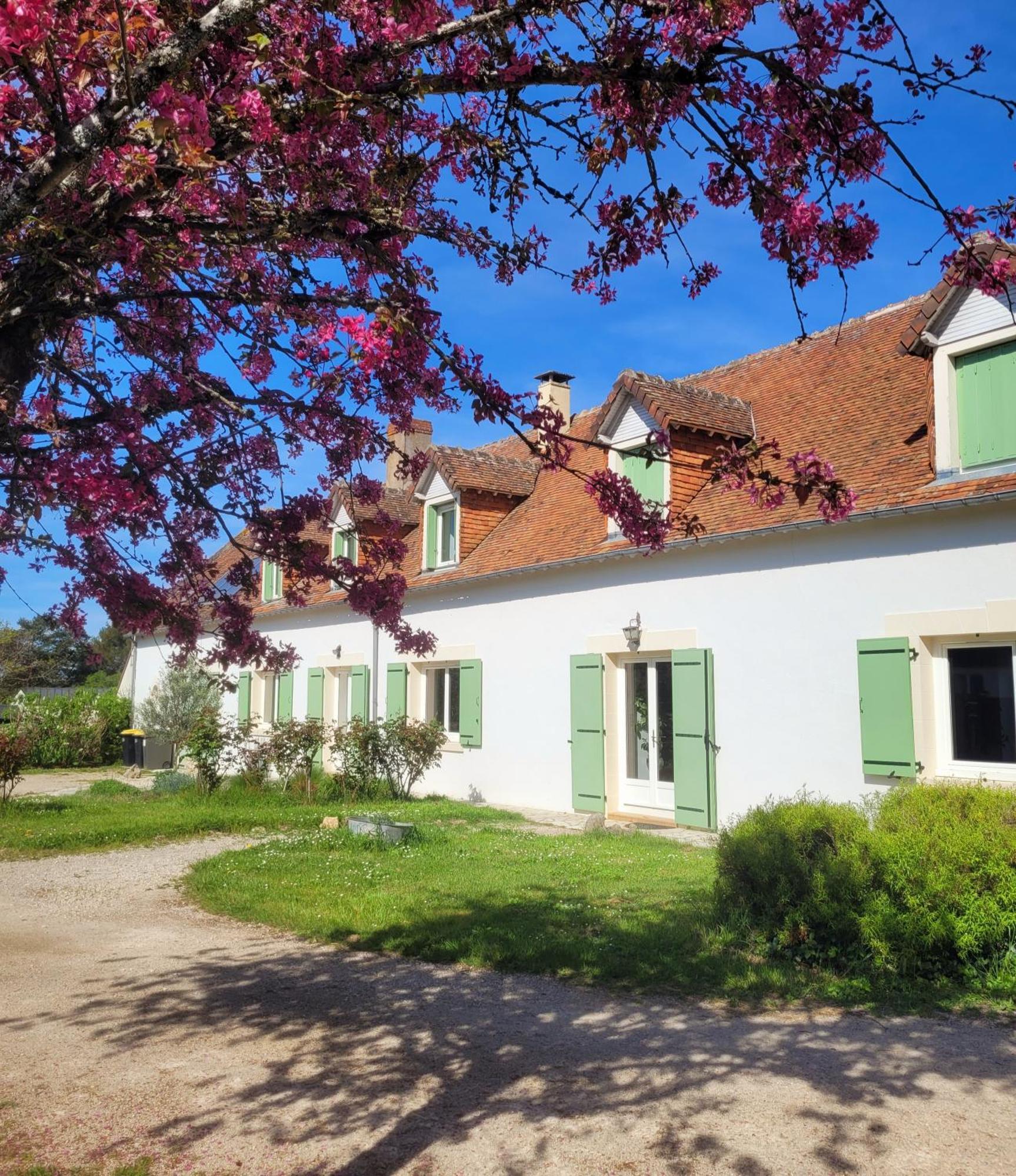 L Amalia Au Coeur Des Chateaux De La Loire Et Du Zoo De Beauval Sambin Exteriör bild